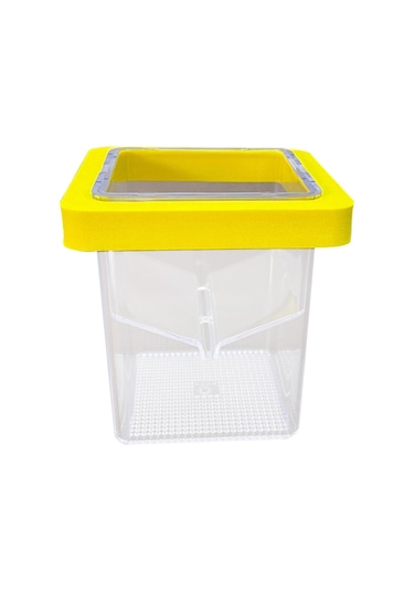 Suntek Yüzen Balık Yetiştirici Kutusu Palyaço Balığı