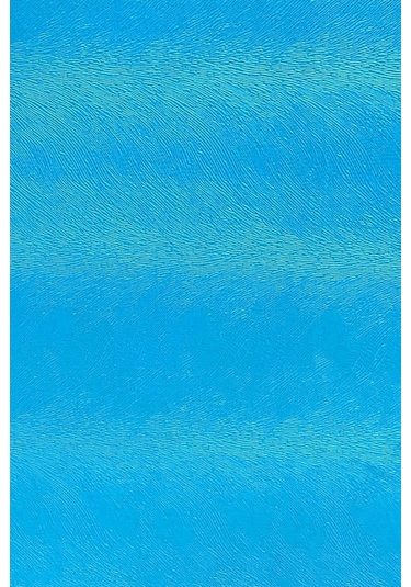 Enesar Home Tay Tüyü Premium Döşemelik Kumaş Taytüyü Turkuaz 100 x 140 cm