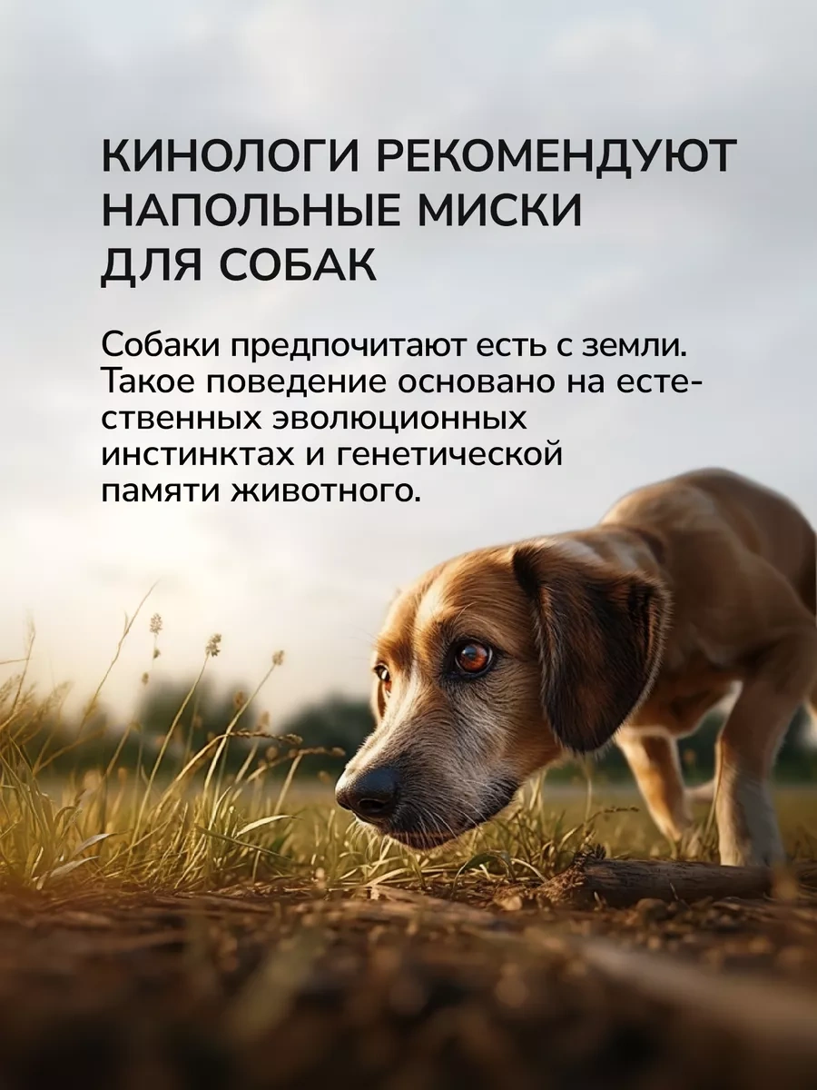 Misterbully Orta Irk Köpekler İçin Metal Mama Kabı, 2x900ml 200302409