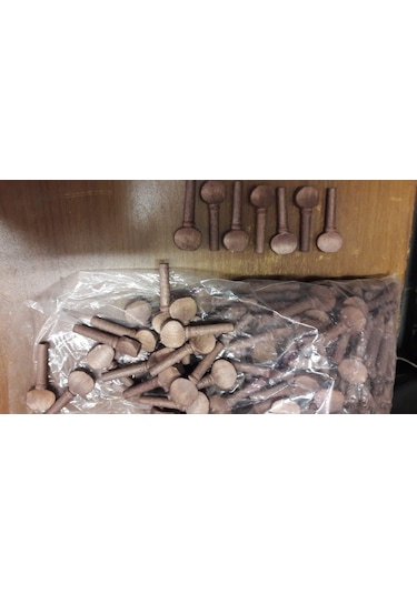 Gül Ağacı Görünümlü Akgürgen Saz Kulağı Burgu Seti-7 Adet Set