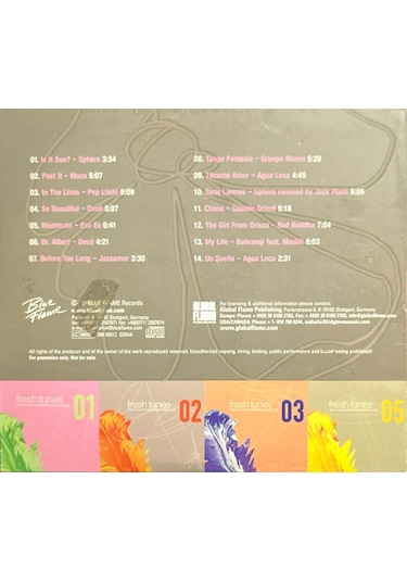 Müzik Cd'sidir Plak Değildir Cd Fresh Tunes For Your Working Pl
