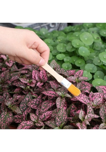 Besthome1 Bahçe Saksı Bitkileri İçin 10 Pratik Parça Bakım Seti: Budama, Sulama, Temizlik, Toprak İşleme