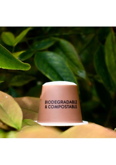 Vero Amore Nespresso Makinesine Uyumlu Kapsül Kahve 10'lu