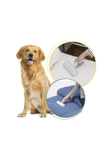 Pet Tarak Fırçalar Pet Saç Remover Çift Taraflı Fırça Yapıştırma Cihazı Çok Fonksiyonlu Pet Epilasyon Fırça Mavi