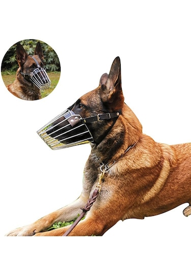 Homyl Köpekler Namlu Pet Malzemeleri Tel Sepet Alabilir