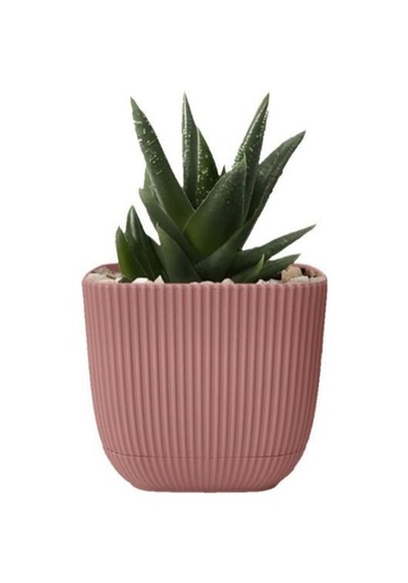 Omnipazar Krs-384 Dekoratif Plastik Mercan Kare Saksı 4 Litre No 4 Soft Pembe