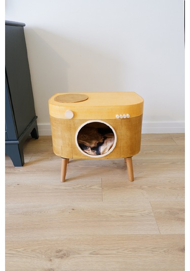 Huncar Kedi Evi Dekoratif Fotoğraf Makinesi Kedi Evi