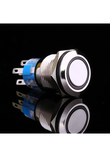 Tenfowee 19mm Delikli Su Geçirmez Mavi Led Tuşlu Anahtar - Bakır Kaplama, Otomatik Yenilenir, Endüstriyel Kullanım