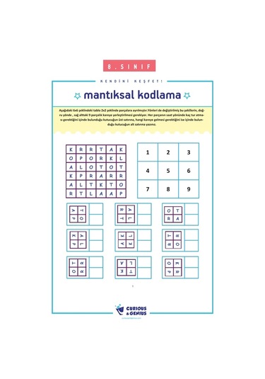 Curious&Genius Pat 8. Sınıf Bilişsel Beceriler Geliştirme Aktivite Seti