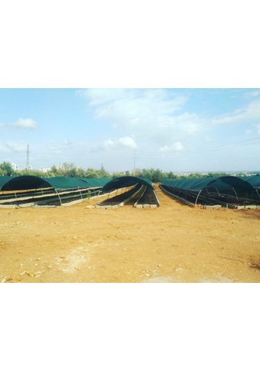 Morilu Sera Filesi - 95'lik Şeritli Halkalı - Hayvan Gölgeliği - Sera Gölgelik