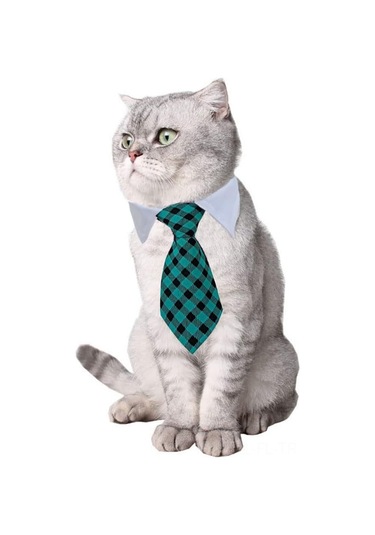 Lemestar Köpek Kedi Yeşil Bağcıklı Yaka Bantı - S Boy 24-30cm Boyun Çevresi - Polyester Pamuk - Fotoğraf, Düğün, Gündelik Kullanim