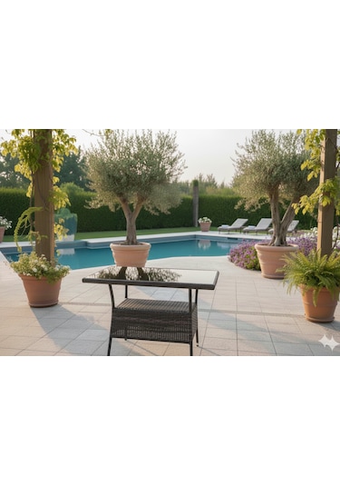 Garden Rattan Antrasit Cam Tablalı Bahçe Ve Balkon Sehpası / Masası