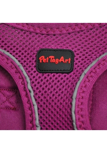 Pettagart Airmesh Mor Göğüs Tasması Turuncu