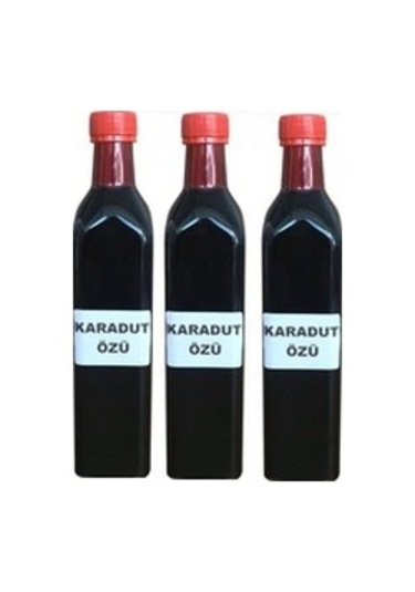 Karadut Özü 1 e 6 Oranında Konsantre 740 G 3740