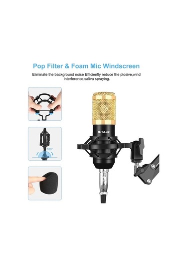 Wondernest Puluz Kondenser Mikrofon Stüdyo Yayını Profesyonel Şan Mikrofonu, Küçük Boyutlu