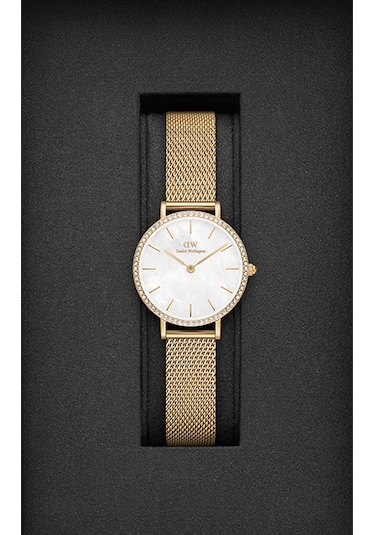 Daniel Wellington Dw00600662 Kadın Kol Saati Diğer