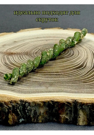 Tajnaa Dver' Para Ve Finans İçin Büyülü Mumlar Hediye Seti 149710573 Yeşil