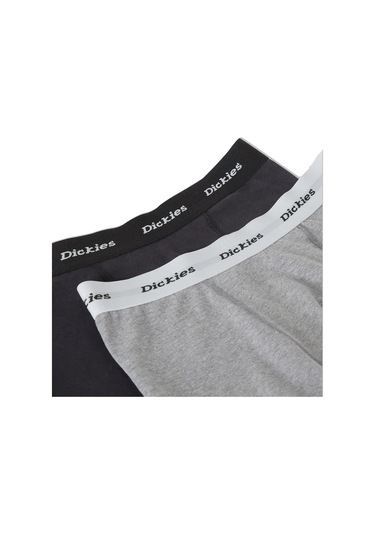 Dıckıes Dickies 2 Pack Trunks Erkek Boxer 28067 Çok Renkli