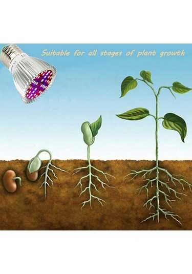 İç Mekan Bitkileri, Organik Hidroponik Ve Sera A+ İçin Tam Spektrumlu, Yetiştirme Işığına Sahip 4'lü E27 10w Led Ampul