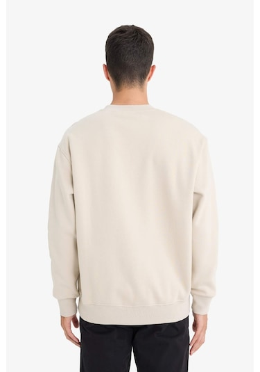 Defacto Relax Fit Bisiklet Yaka Kalın Basic Düz Sweatshirt T5139az25aubg735 Bej Defacto Relax Fit Bisiklet Yaka Kalın Basic Düz Sweatshirt T5139az25aubg735 Bej