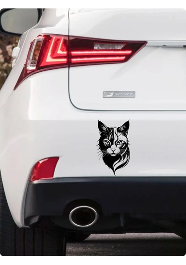 Fosti İç Mekan Etiket Karı 311695963 Siyah