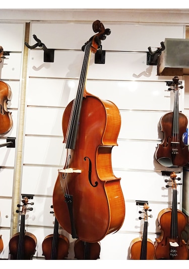 Tonal Hdc51 Masif Yüksek Kaliteli Hareli Çello