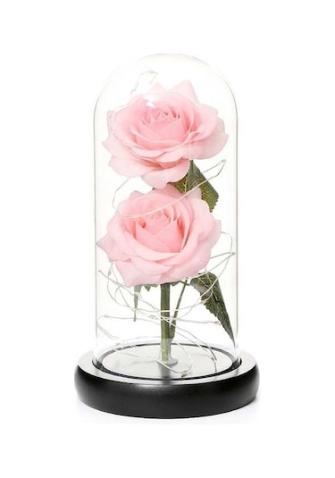 Novahub Cam Kubbe Kutuda Yapay Gül Led Işıkla, Sonsuza Kadar Gül Çiçeği Anneler Günü Sevgililer Günü Düğün Festivali Yıldönümü Hediyesi