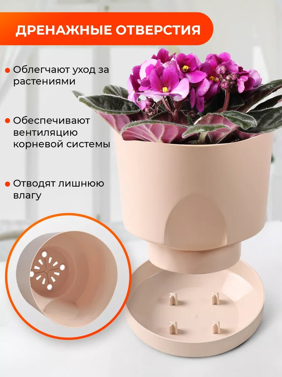 La Decoro Sukulentler İçin Saksı, Menekşe Saksıları, Kaktüs Saksısı. 233787581