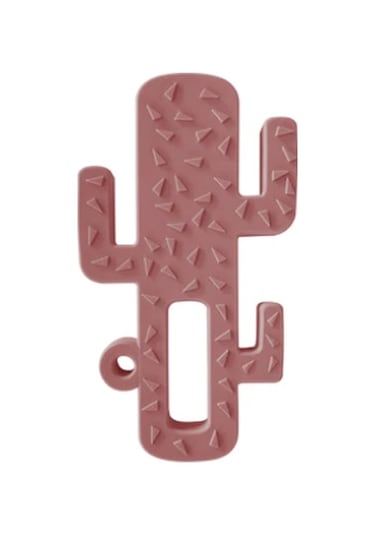 Diş Kaşıyıcı Kaktüs Velvet Rose Pembe