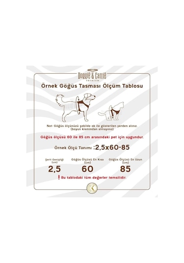 Cattie Kedi Göğüs & Gezdirme Takımı Turuncu 1x25-40cm