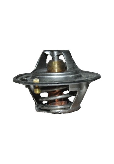 Termostat 60  Derece