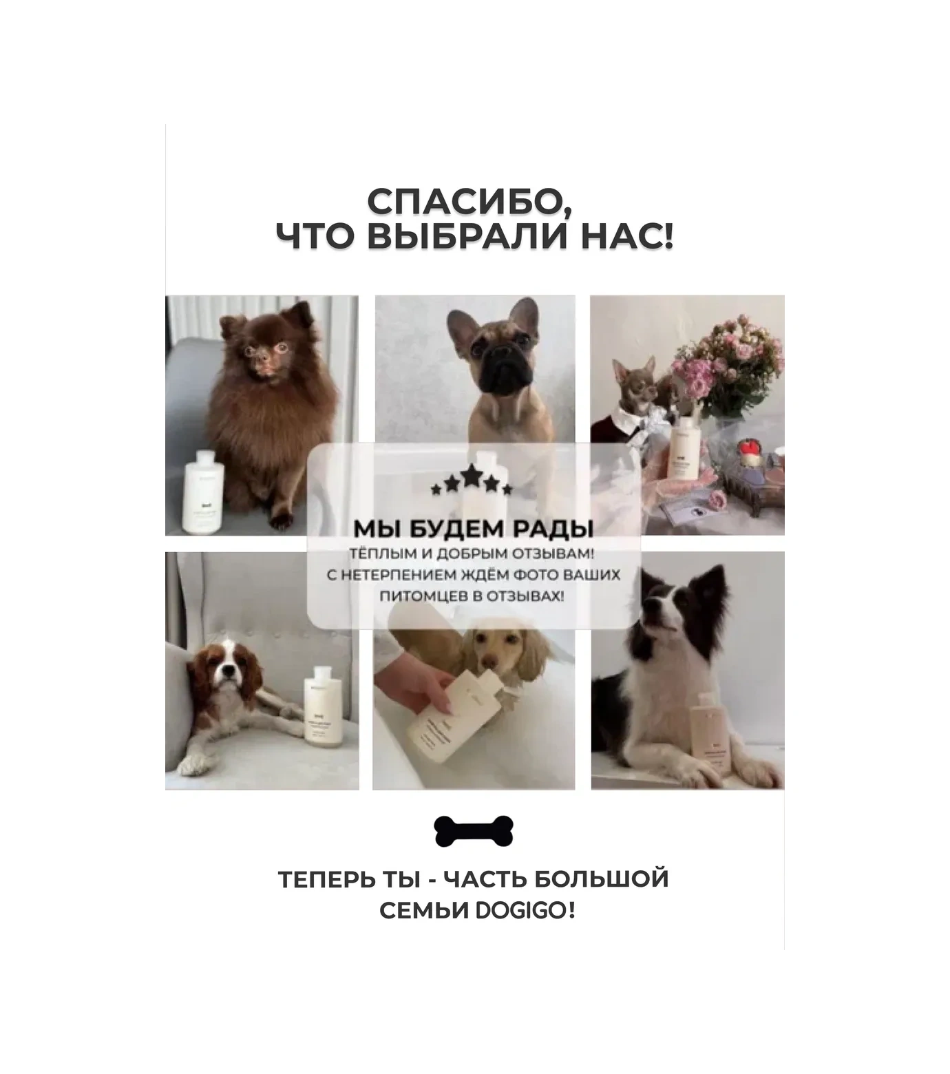 Dogıgo Yorkshire Terrier İçin Köpek Şampuanı 366476449