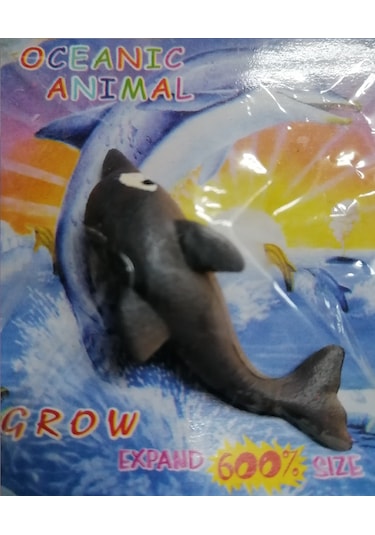 Suda Büyüyen Deniz Canlısı Minicik Yunus Balığı