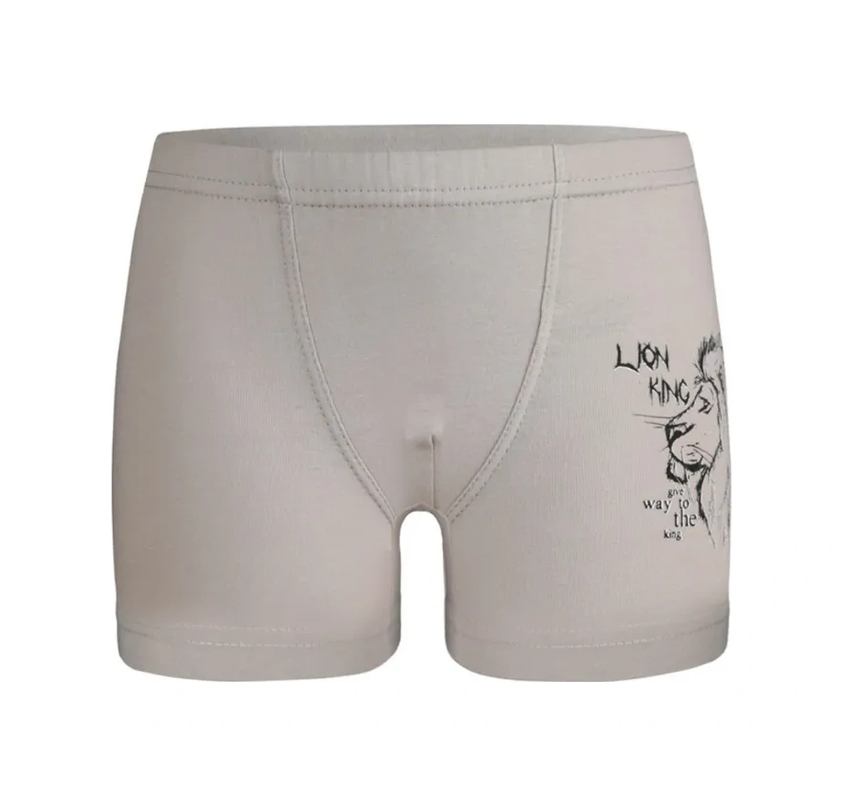 Donella 5 Adet Çocuk Külotu Seti 388120021 Gri