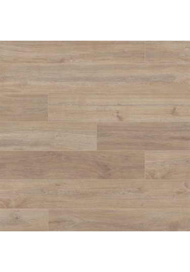Vitale Modera Sarı Kavak 8 Mm Derzli Laminat Parke Vtlp.5966