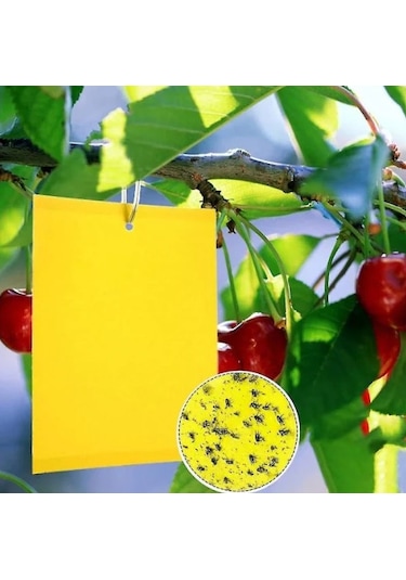 Sarı Yapışkan Levha Tuzak 25 40