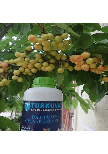 10 L Turkuvaz Bat Power Organik Sıvı Yarasa Gübresi