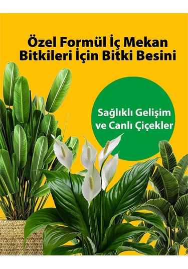 Petroturk İç Mekan Sıvı Bitki Besini 250 Ml 1