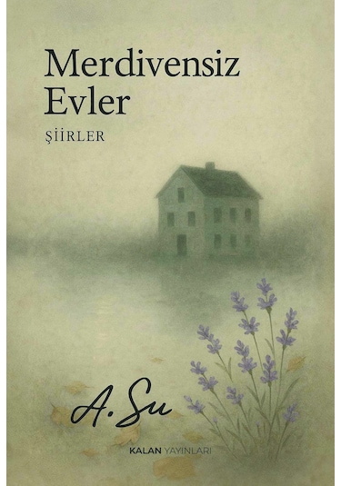 Merdivensiz Evler