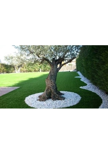 Beyaz Taş 25 Kg 2-4 Cm Dolamit Taşı Dekoratif Taş Bahçe Taşı