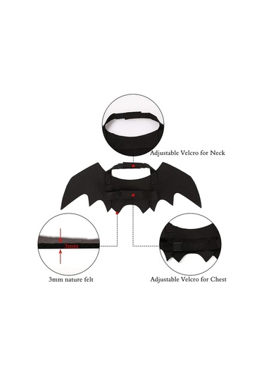Willowhaven Siyah Kedi Yarasa Kanatları Kostümü 2li Set - Yumuşak Polyester Halloween Evcil Aksesuar