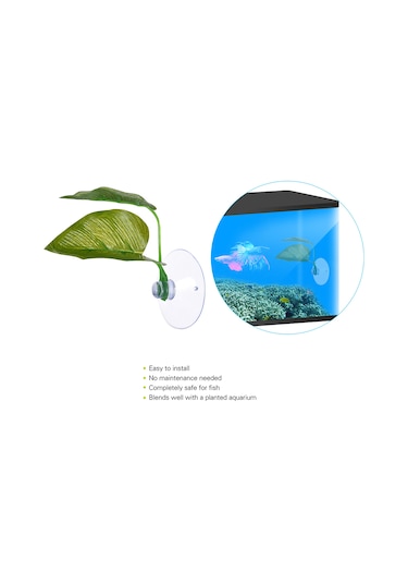 Xiyyadms Akvaryum Yeşil Yapraklar - Balıklar İçin Doğal Dinlenme Ve Yumurtlama Alanı 2 Yaprak