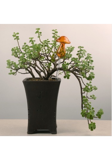 Sones Mantar Şekli Ev Bitkileri Çiçekler Su Besleyici Otomatik Kendiliğinden Sulama Şeffaf Cam Cihazlar Sarı