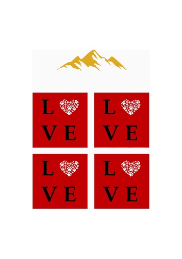 Dijital Baskılı Yumuşak Dokulu 4 Lü Kırlent Kılıfı Takımı 43x43 Cm Krl0090 Renkli