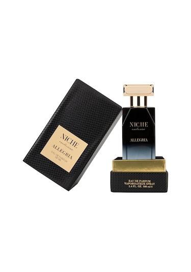 Niche Exclusive Allegria Erkek Parfüm EDP 100 ML