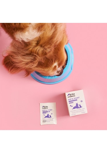 Kito Hip & Joint Kedi Köpek  ve Kas  15 x 2 G