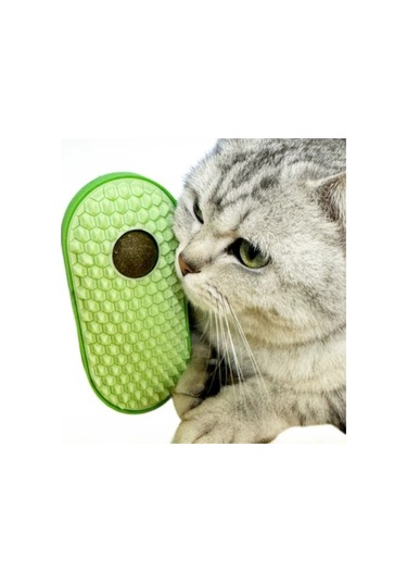 Silikon Kaşıyıcılı Kedi Otu