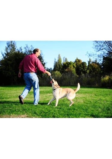 Chuckit Ultra Tug Köpek Çekiştirme Topu 6.4 CM