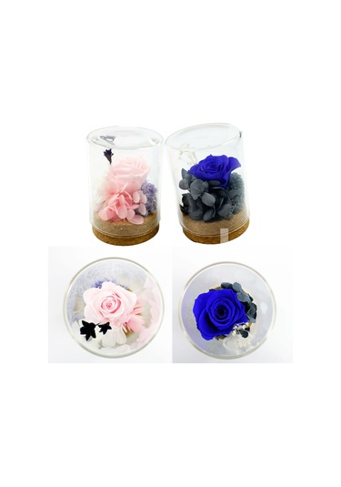 Reedark "özel Günler İçin Kalıcı Gül - Dekoratif Ve Kokulu Cam Kutu İçinde Gerçek Korunmuş Gül Çiçeği"