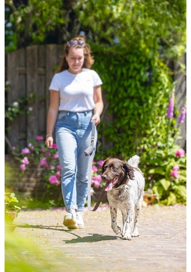 Beeztees Köpek Dışkı Toplama Poşeti Taşıma Çantası, Gri, 8x5x5cm